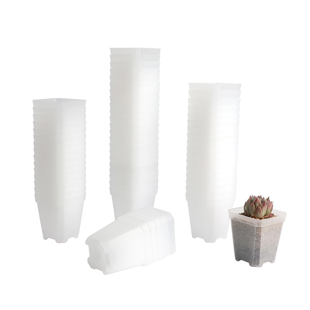 BangQiao 60 Pack Small 2.70 Inch Plastic Square Nursery Pot, inch, Clear