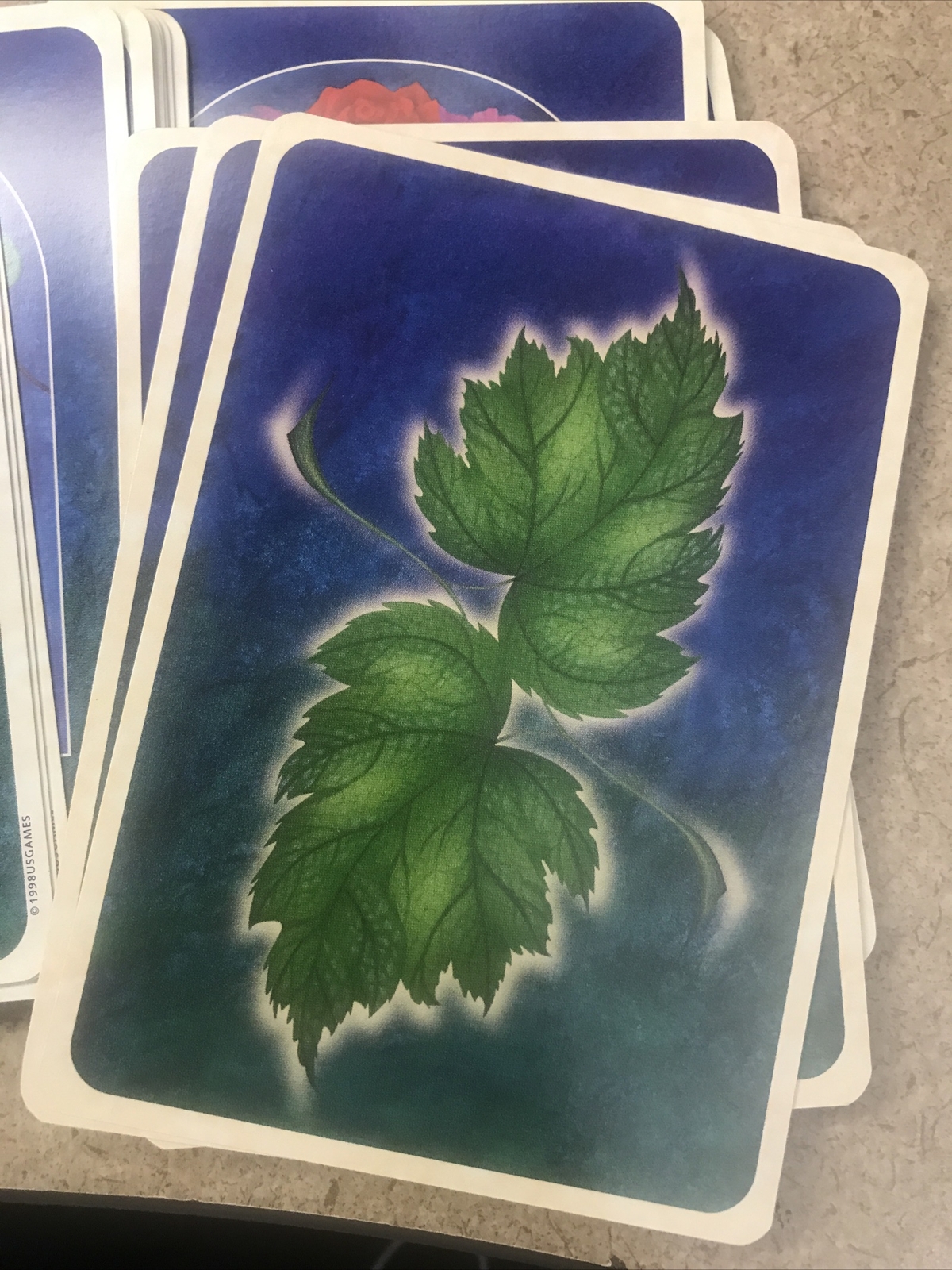 Power of Flowers Tarot Deck by Isha Lerner
