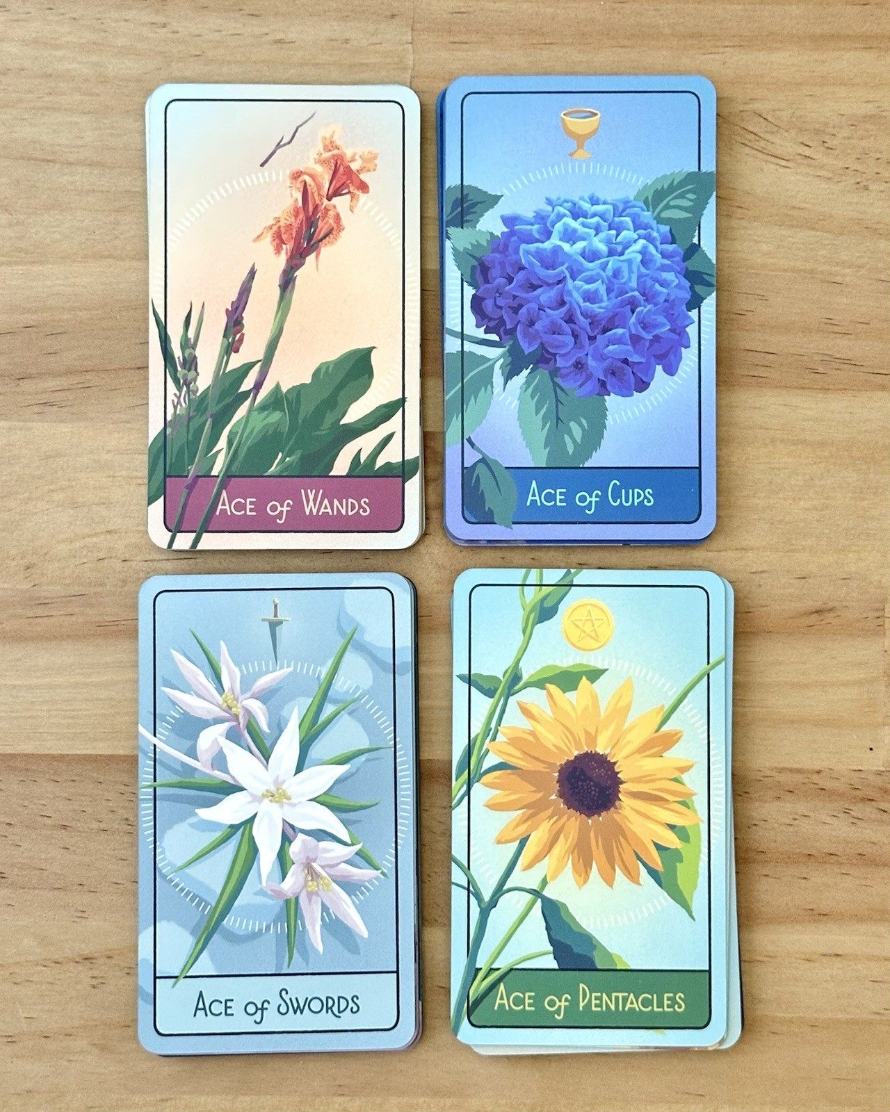 Pacific Northwest Tarot Brendan Marnell 2nd ed 78 Card Deck Guidebook Complete