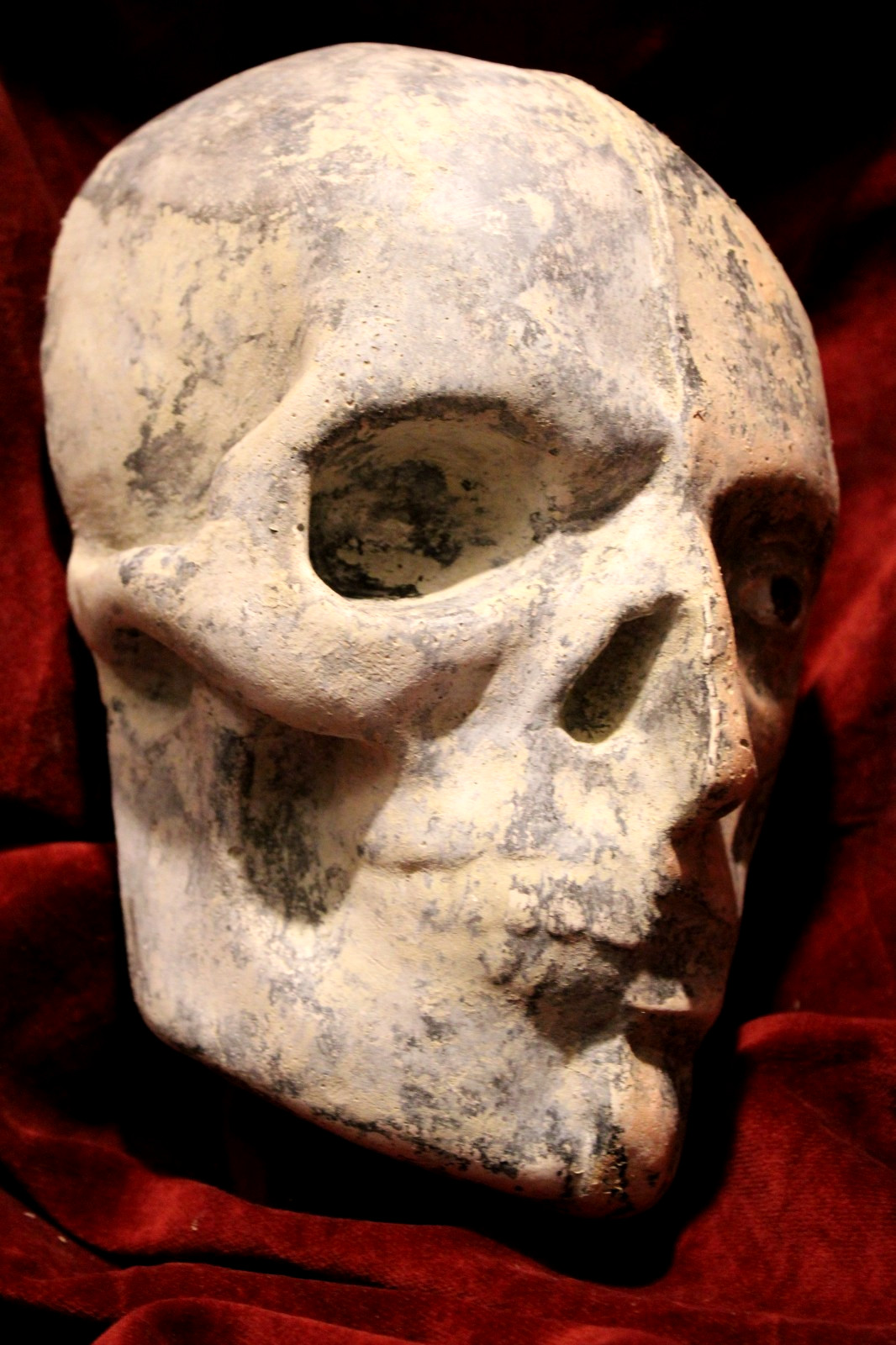 Anatomical Cadaver Oddity Death Mask Occult Cabinet Curiosities Skull German