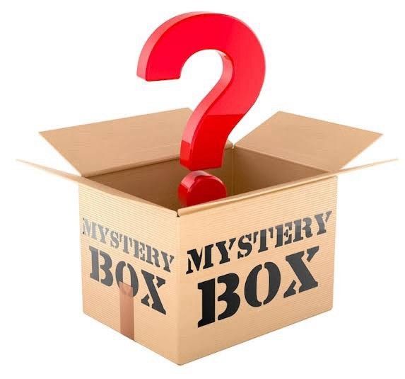Mystery Boxes (5-10 items) Random Categories and Items All New