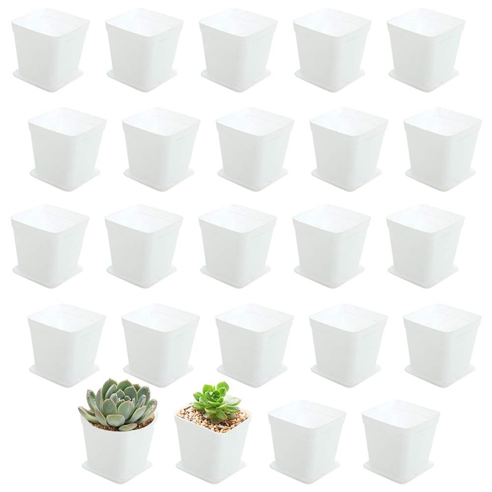 24 Pack 3 Inch White Square Plastic Plant Pots with 24 White,
