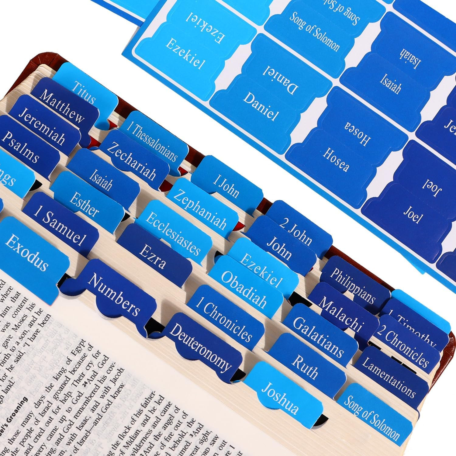 Blue Bible Tabs for Men Paper Index Tabs for Scripture Study & Chapter