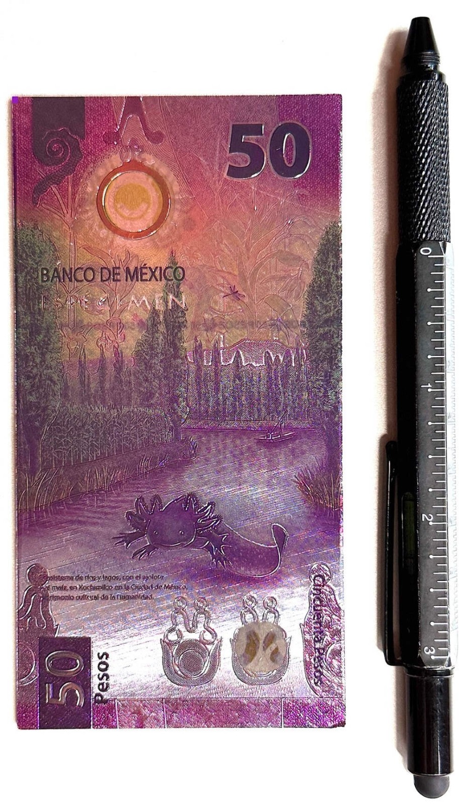 Mexico ajolote axolotl refrigerator magnet – iman billete 50 pesos, NOT CURRENCY