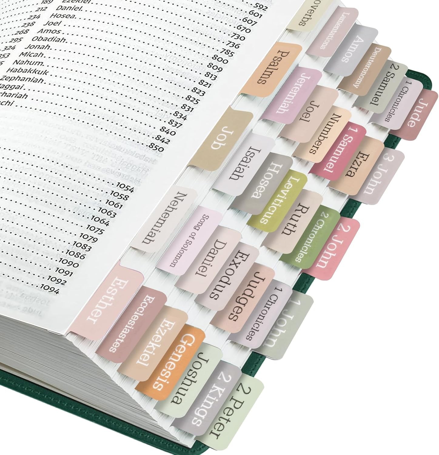 Easy To Read Boho Bible Tabs 75 Laminated Large Print Index Tabs for Navigation