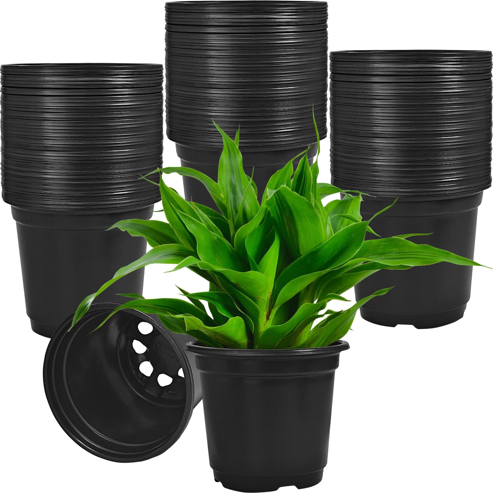 Woozettn 120 Packs 3.9 inches (W) x (L) x 3.4 (H), Black