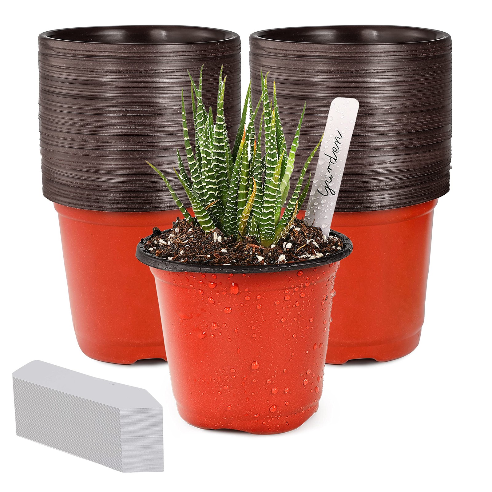 TDHDIKE 4″ Small Plastic Plant Nursery Pot/Pots (100pcs) 4inch100, Red
