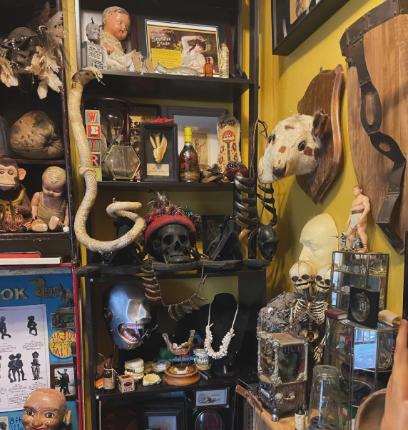 Huge HAUNTED Estate Liquidation Hoarder Collection Paranormal Mystery Item Rare