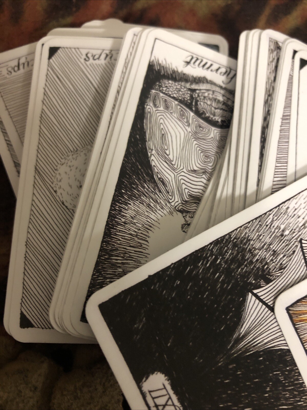 Kim Krans The Wild Unknown Tarot Scan For Guidebook Esoterica Occult Magick