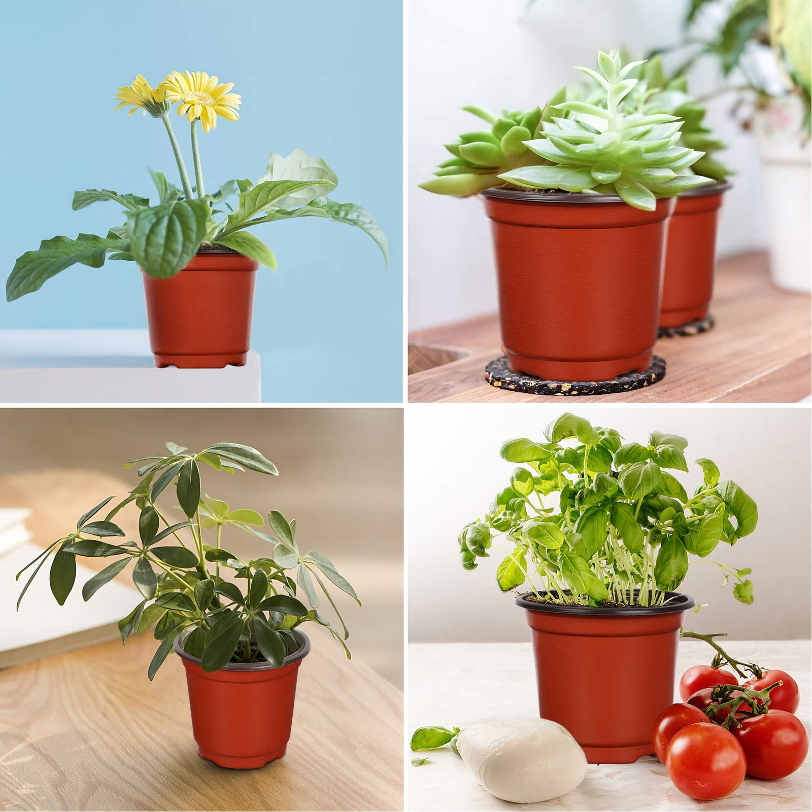 Augshy Nursery Pot, 110 Pcs 4″ Plastic Plants Pot,Seed Starting 4 Inches, Red