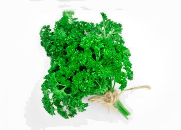 500 FOREST GREEN PARSLEY SEEDS | 2026 SALE FREE SHIPPING NON GMO HEIRLOOM