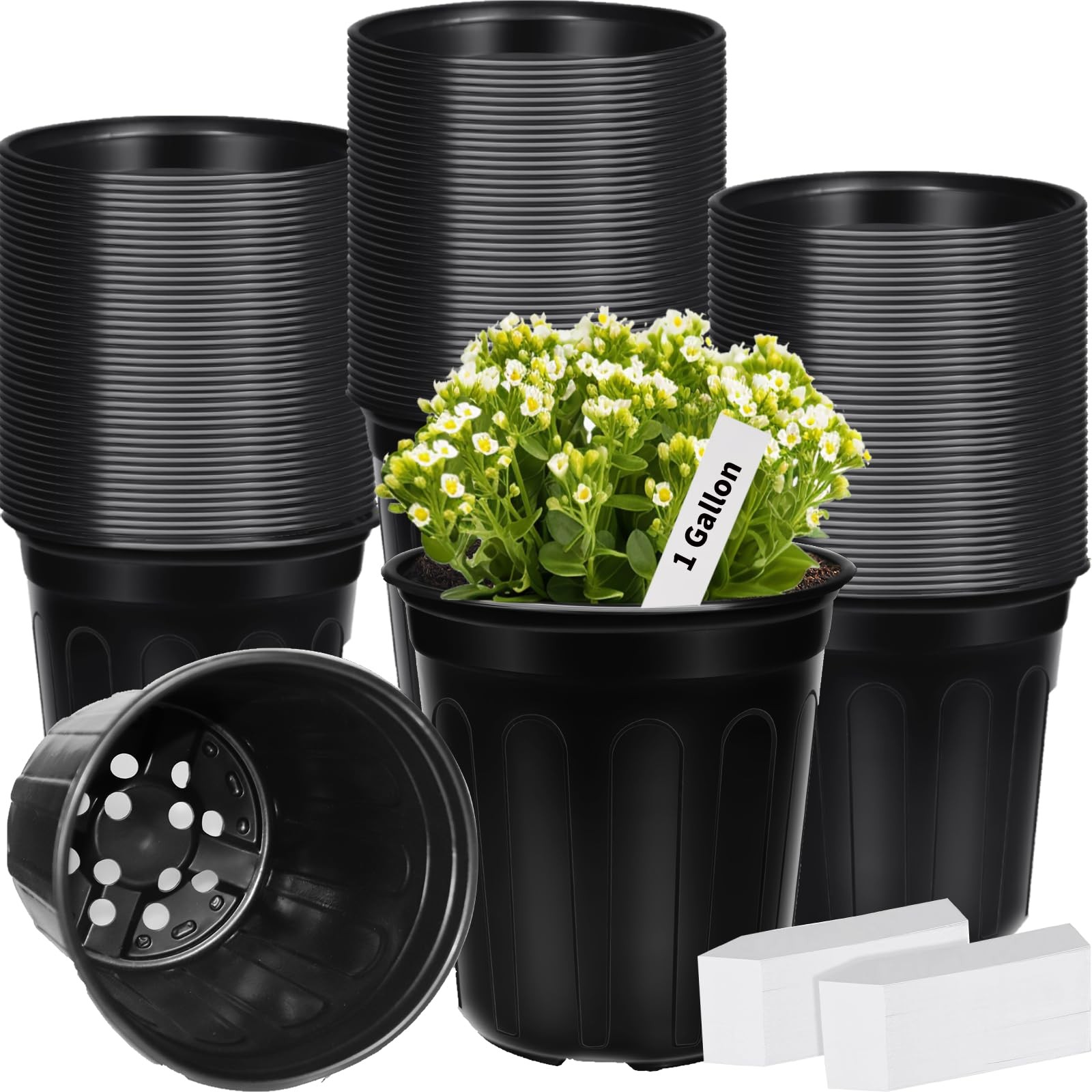 BeapTcely 50 Pcs 1 Gallon Plastic Plants Nursery Pot with 1 Gallon, Black