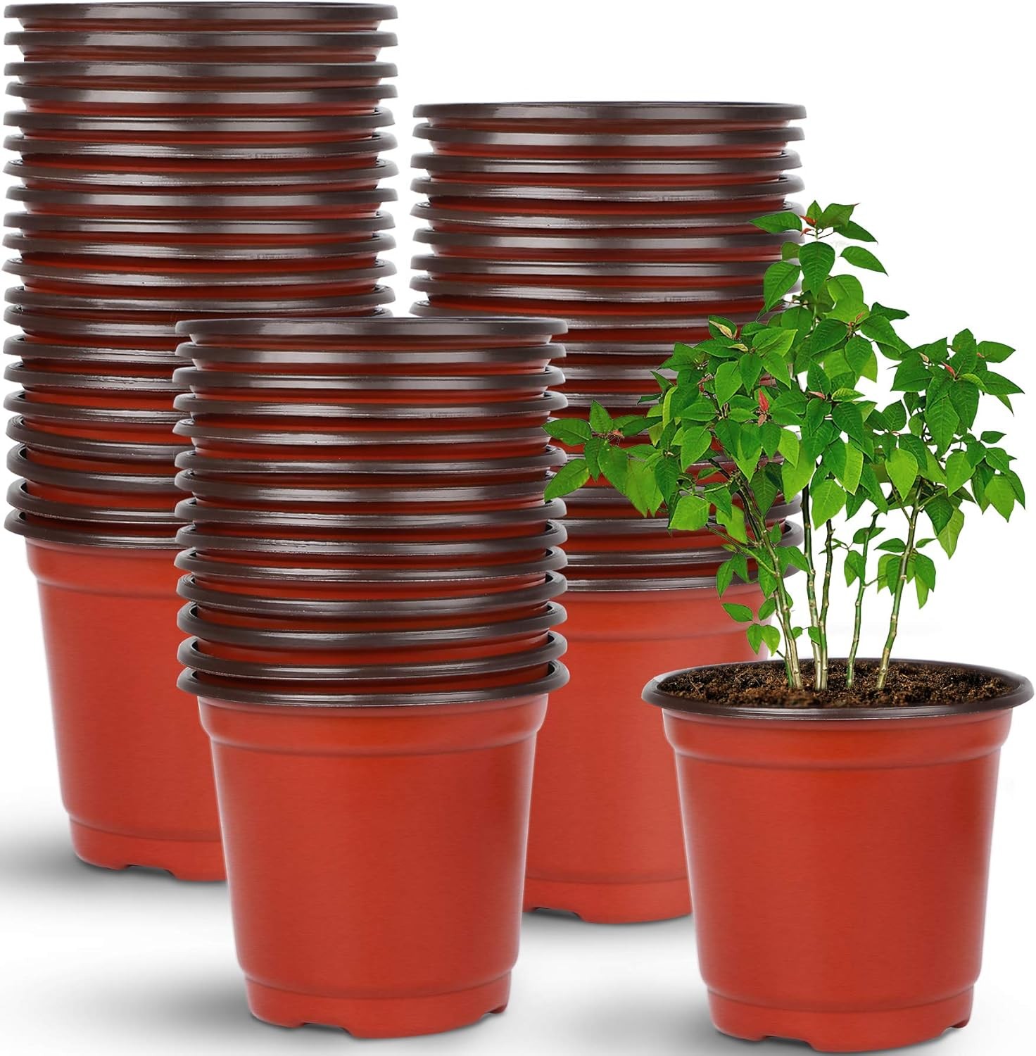 Augshy Nursery Pot, 110 Pcs 4″ Plastic Plants Pot,Seed Starting 4 Inches, Red