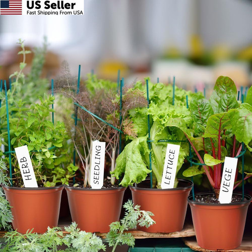 100 Pcs Plant Nursery Pots, 4 Inch Small Seedling Pots with 4″, Red