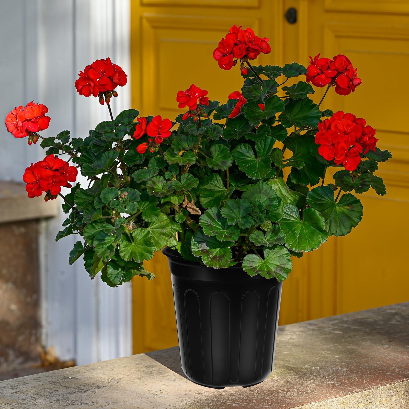 BeapTcely 50 Pcs 1 Gallon Plastic Plants Nursery Pot with 1 Gallon, Black