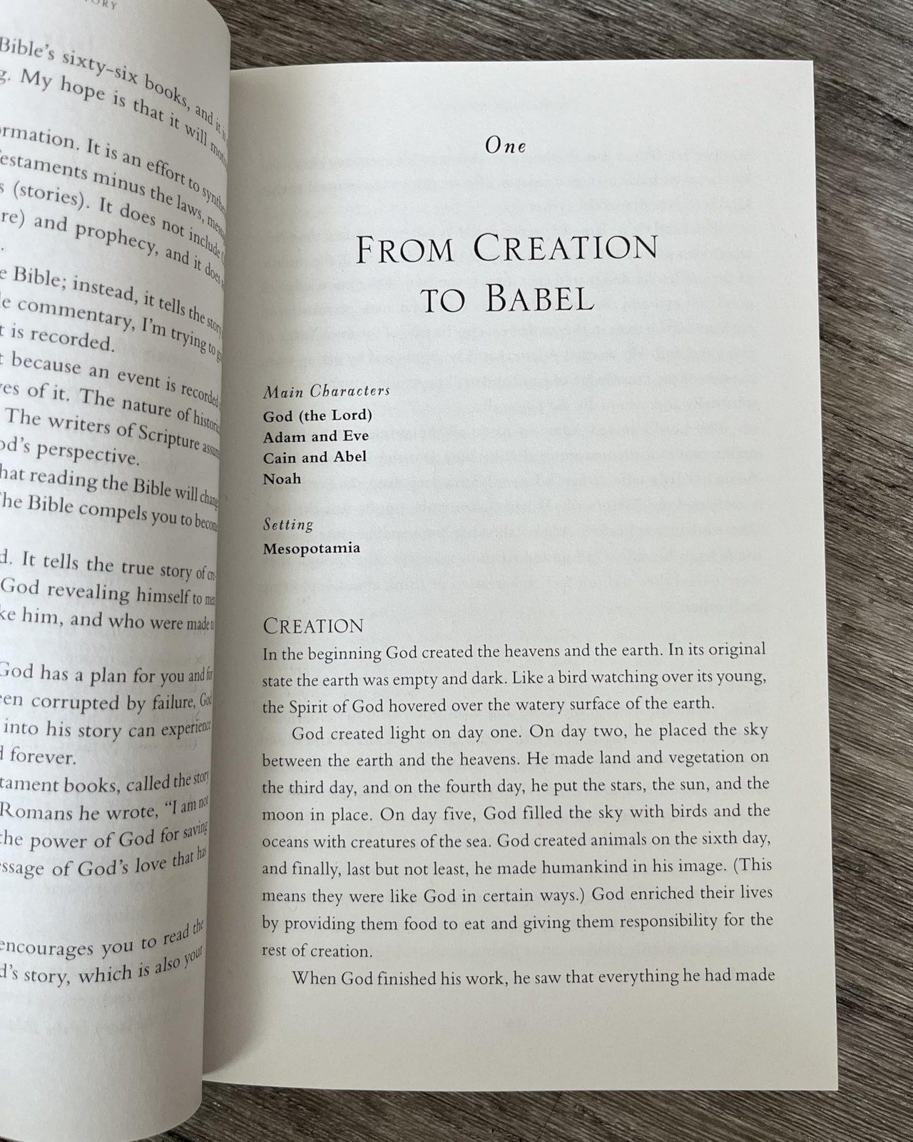 The Whole Bible Story: Everything That Happens in the Plain English…