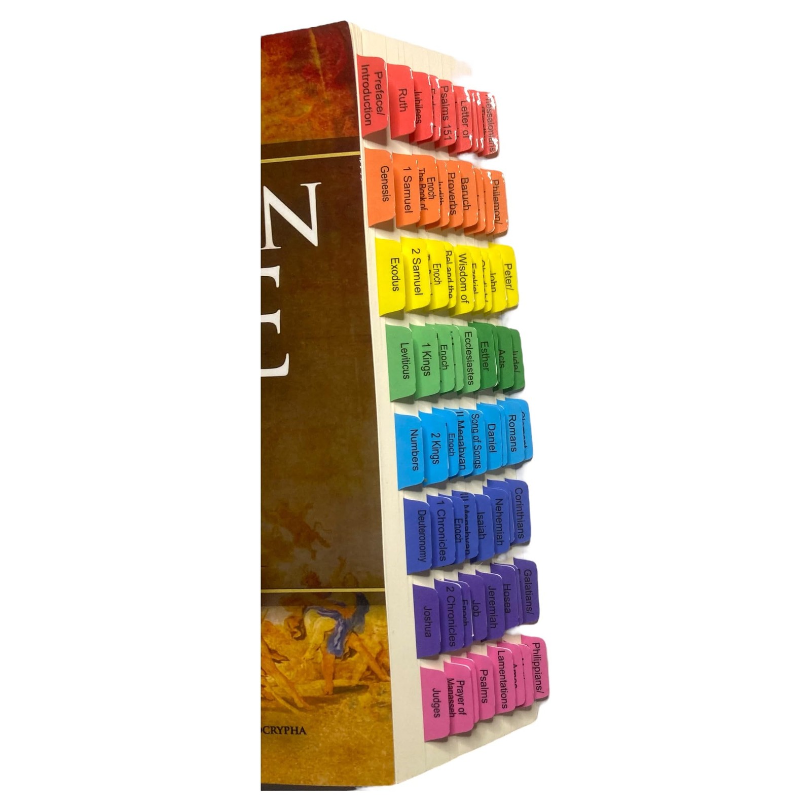 Book Tabs for The Ethiopian Bible in English Complete 88 Books